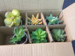 6 Mini Artificial Succulents in Pot...
