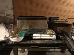 lot 119 image: 25 Gallon Aquarium and accessories