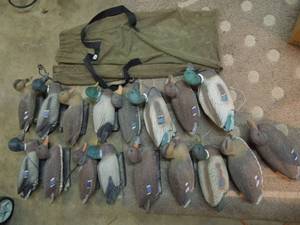 lot 22 image: 17 Duck Decoys with Bag (13 with weights)