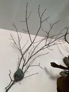 lot 20 image: Hornet Hive on Branches