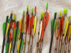 lot 67 image: Hunting Arrows by Easton