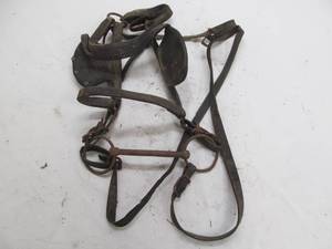 antique horse bridle