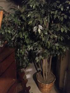 lot 251 image: Lot of Misc. Furniture Kitchenware and Garage Items