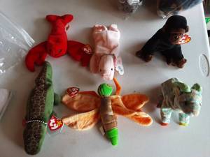 6-Beanie Babies