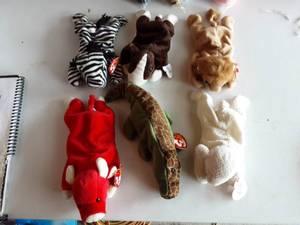 6-Beanie Babies