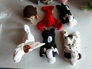 6-Beanie Babies