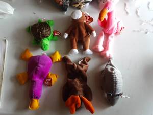 6-Beanie Babies