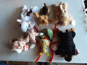 6-Beanie Babies