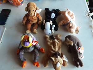 6-Beanie Babies