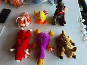 6-Beanie Babies
