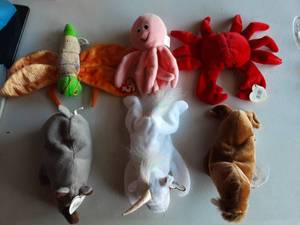6-Beanie Babies