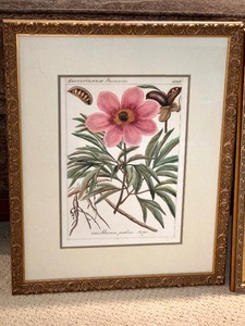 lot 58 image: Trio of Gold Framed Botanical Prints