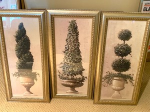 lot 39 image: Seven Framed Prints- Botanical Themed