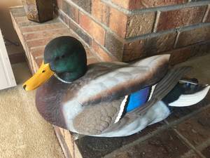 lot 15 image: Authentic Ducks Unlimited Mallard & Decor
