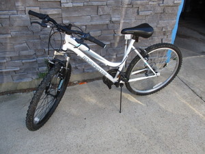 lot 10 image: Roadmaster Bike