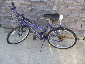 lot 12 image: Roadmaster Bike