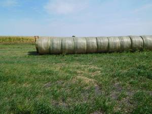 lot 14 image: 10 round bales of 4x6 wheat straw