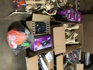 lot 53 image: Gaylord with assorted Halloween decorations review pictures