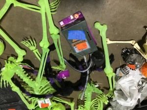 lot 49 image: Gaylord with Halloween decorations review pictures