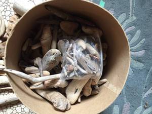 lot 109 image: Very Large Collection Of Decorative Driftwood