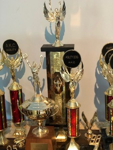 lot 25 image: Large Lot Of Trophies