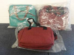 lot 11 image: 3 Insulated Lunch bags...