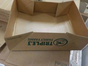lot 187 image: 50 Open Boxes 19 x 15 x 6...