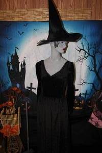 lot 13 image: Are You A Sophisticated Witch