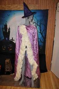 lot 24 image: Beautiful Full Length Cloak wFeather Trim