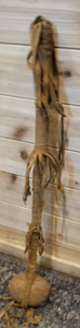 lot 5 image: Amazing Authentic 19th Century Native American War Club 21