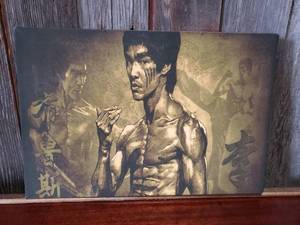 Bruce Lee Canvas Print