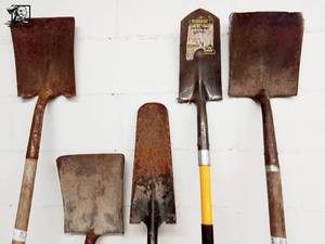 lot 197 image: 5 Shovels 2 Trenching Shovels, 3 Shovels