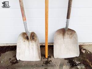 lot 100 image: 1 Digging Shovel, 2 Square Point Shovels