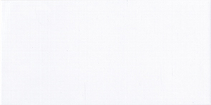 4 cases of Imported Fine Italian 8x16 PIX Bianco Ceramic Wall Tile