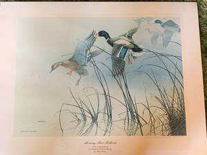 lot 12 image: Signed & Numbered Morning Mist Mallards 18 x 25