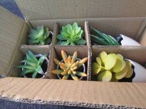 lot 175 image: 6 pk Artificial Succulents...