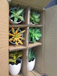 lot 213 image: 6 pk Artificial Succulents...