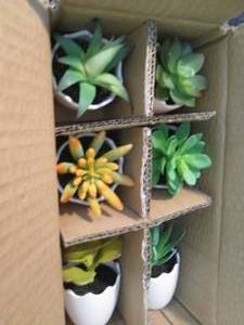 lot 214 image: 6 pk Artificial Succulents...