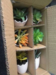 lot 276 image: 6 pk Artificial Succulents...