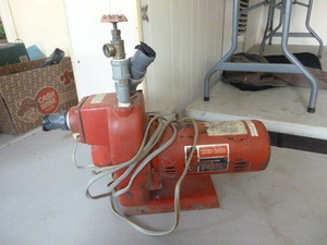 Red Lion Water Pump