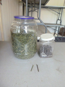 Lot of Nails