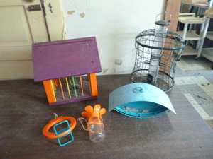 Bird Feeders