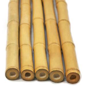 lot 303 image: Backyard X-Scapes 2 in. D x 8 ft. H Natural Bamboo Poles (10-PieceBundle), HDD-BP07