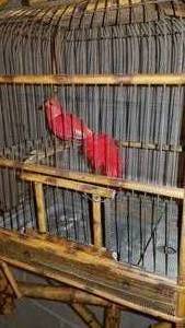 lot 23 image: Antique Bamboo Birdcage and Stand