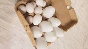 lot 105 image: Collection of Chickens and Glass Eggs