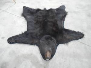lot 2 image: Black Bear Full-Size Taxidermy Rug For Sale
