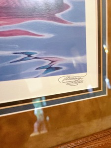 lot 117 image: Framed Thomas Ross Duck Print