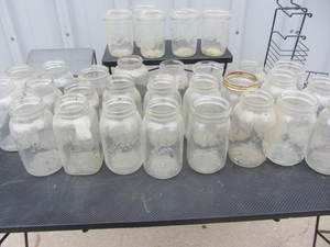 lot 161 image: Canning Jars
