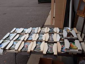 lot 15 image: Lot Of Collector Plates (24 Pieces), Ducks Unlimited, Birds Of Your Garden & More