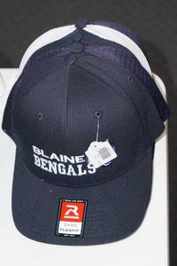 lot 487 image: Blaine Fitted Hats